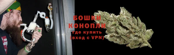 ПСИЛОЦИБИНОВЫЕ ГРИБЫ Надым