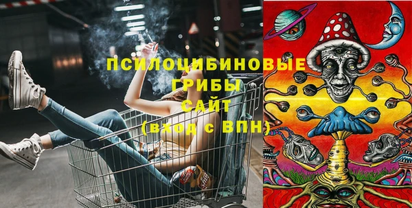 ПСИЛОЦИБИНОВЫЕ ГРИБЫ Надым