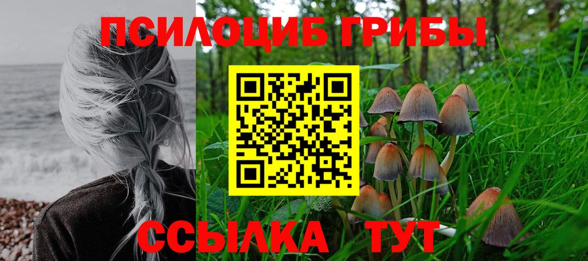 Нижний Новгород  Галлюциногенные грибы мицелий  Вход с VPN 